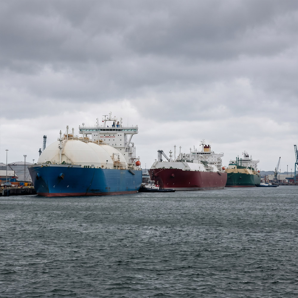 Fleet