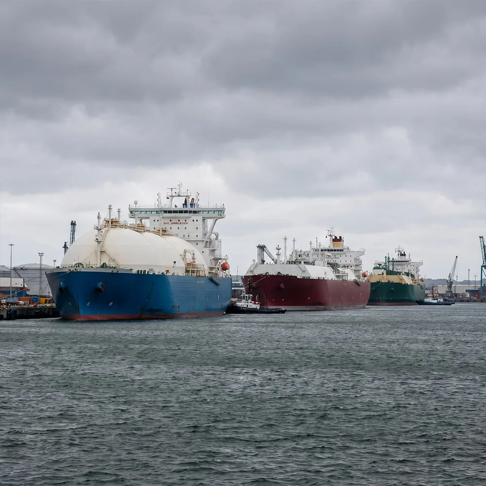 Fleet
